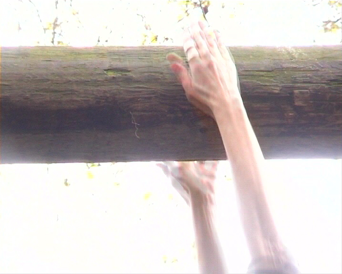 Grasping and Clinging installation